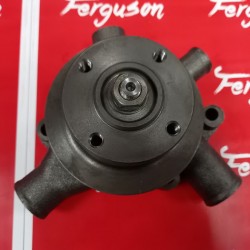 Pumpa vode 539 P. Tesanj